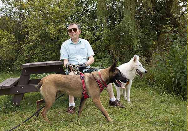 RIVER jeune malinois à adopter au refuge sos animaux 78 au chesnay près de versailles